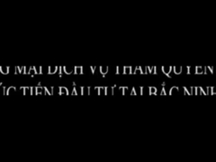 Giới thiệu công ty